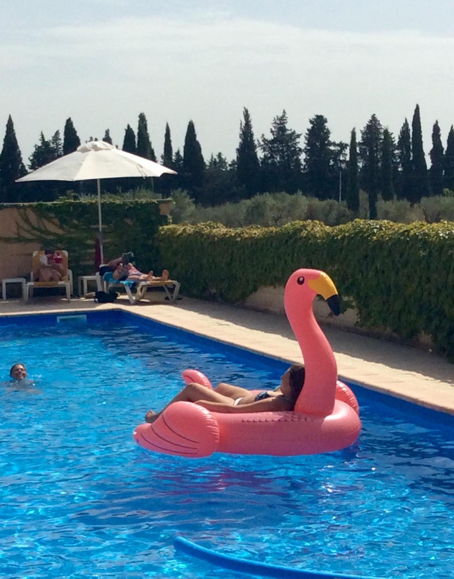 Hotel Terriciae Aux Portes De Maussane Les Alpilles מראה חיצוני תמונה